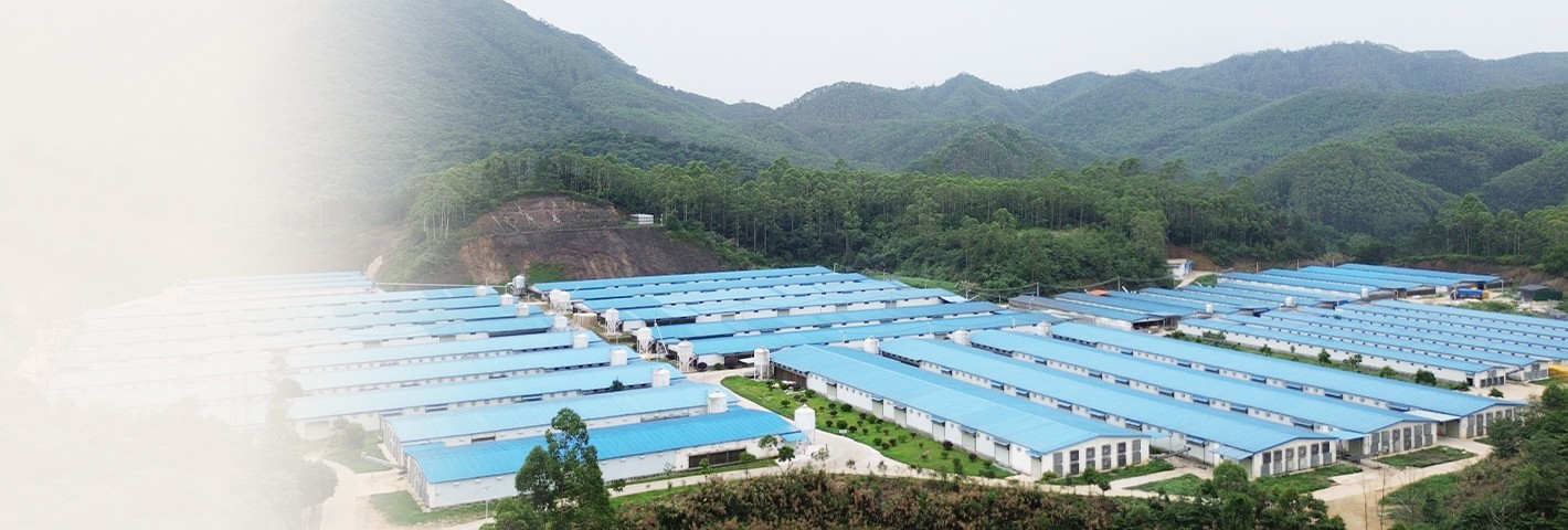 惠州市順安牧場(chǎng)有限公司