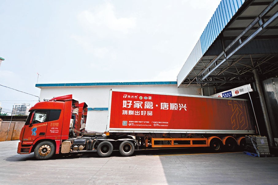 唐順興：解鎖白切雞風(fēng)味，食材源頭直供批發(fā)廠家