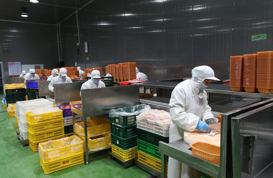 白切雞批發(fā)供應(yīng)商-打造智能物流，高效供應(yīng)鏈體系