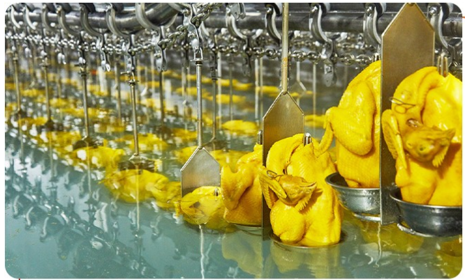 白切雞食材供應(yīng)商有安全保障嗎？